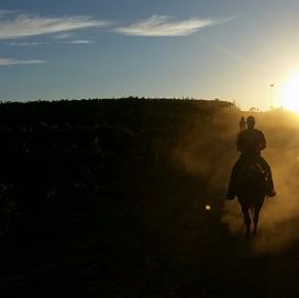 Guided Horseback Tour Temecula, CA