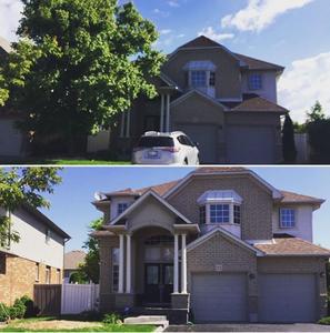 B&A Tree Removal Stoney Creek Ontario, Removal of small maple tree, roots invading