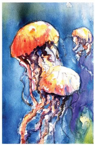 Jelly fish