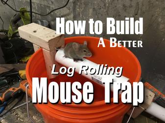 How to build a better Log Rolling Bucket Mouse Trap. Free step by step instructions. www.DIYeasycrafts.com