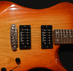 wt. Foster Guitars F5001 Standard 2015 Sunset burst