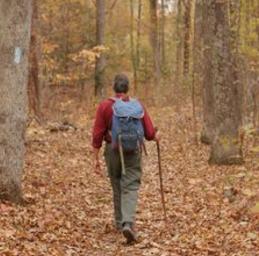 man walking in woods with walking stick.