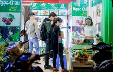 giỏ hoa quả nhập khẩu giá rẻ đang bán
