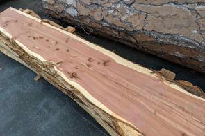 Unfinished Raw Wood Slabs