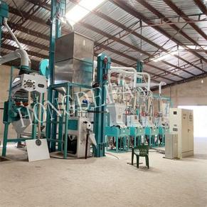 30T maize mill