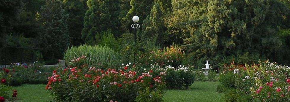 beautiful landscaped back yard