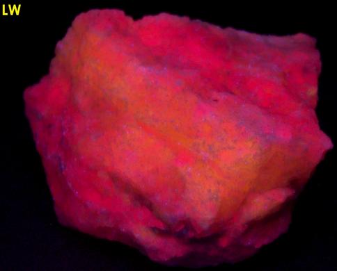 fluorescing SW LW CLINO-SUENOITE, TREMOLITE - International Talc Company Mine No. 8 (Reynolds Mine), Talcville, St.Laurence County, New York, USA