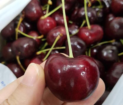 Địa chỉ bán cherry