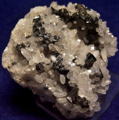 TETRAHEDRITE and QUARTZ - Cavnic (Kapnic; Kapnik), Maramureș Co., Romania