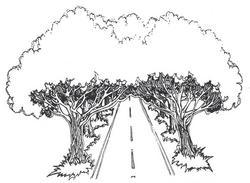 Black and white line drawing of a road bordered by trees forming an archway with overlapping branches.