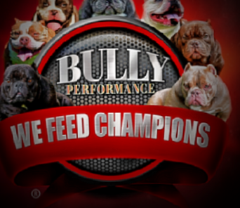 Bully Performance dog food created especially for Bully dogs