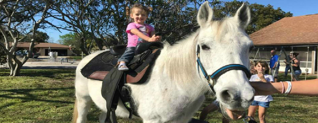 Noah's Landing Petting Zoo  Pony Rides