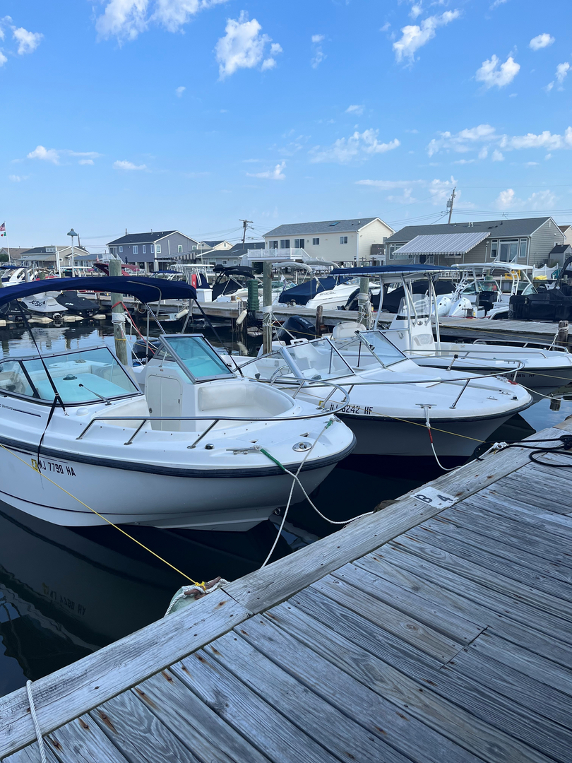 Lake Pleasant Boat Rental