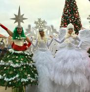 Winter Wonderland Christmas Holiday Entertainment