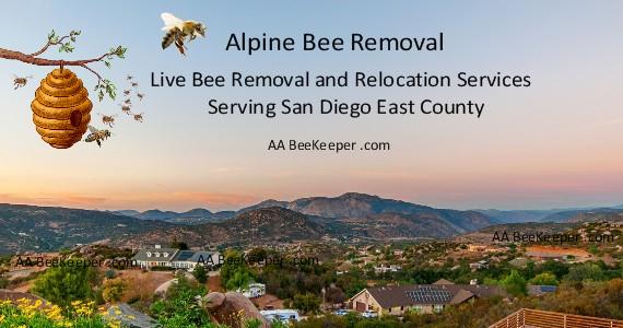 Bee Removal Alpine 91901, 91903