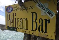 ""Black River Safari, Y.S. Falls Pelican Bar, Jamaica Tour"