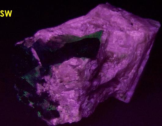 Pink SW LW fluorescing Agrellite, Eudialyte, Britholite-(Ce) crystals,Amphibole, Kipawa alkaline complex, Les Lacs-du-Temiscamingue, Temiscamingue RCM, Abitibi-Temiscamingue, Quebec, Canada