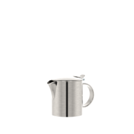 stainless steel milk jug