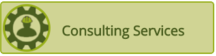 Consulting Services