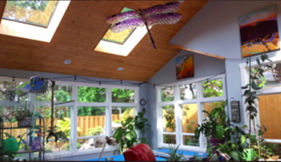professional window cleaning service nearby