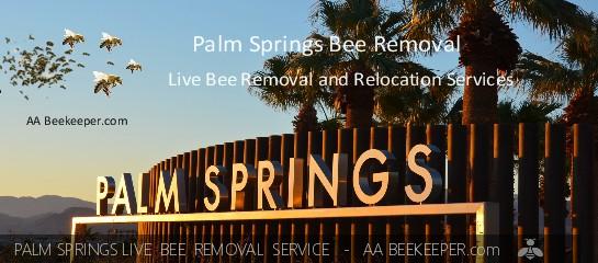 Palm Springs Bee Removal