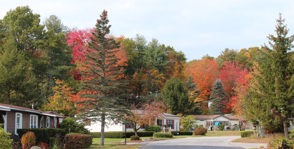 Homes For Sale Medville Cooperative Goffstown, NH