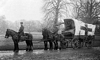 Emergency First Aid black and white red cross horse and cart | ICON SAFETY CONSULTING INC.®