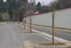 El Dorado Trail Shade Tree Project Placerville California Community Pride Volunteers