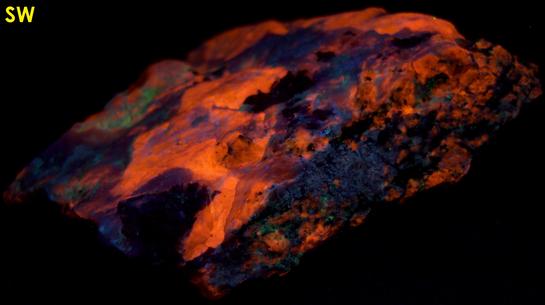 STEENSTRUPINE with fluorescing tenebrescent SODALITE, AEGIRINE ACMITE - Taseq Slope (Tasseq Slope, Taseq area), Ilímaussaq complex, Narsaq, Kujalleq (Kitaa Province - West Greenland), Greenland, Denmark - ex Tom Pankratz