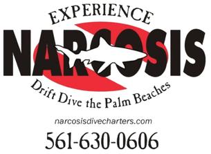 Narcosis Drift Dive the Palm Beaches