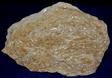 fluorescent and triboluminescent TREMOLITE - International Talc Company Mine No. 8 (Reynolds Mine), Talcville, St. Lawrence County, New York, USA - for sale
