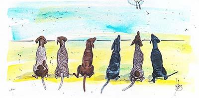 border collie, black Labrador, Schnauzer, German Shepherd, Dalmatian, Cockapoo, German Shorthaired Pointer
