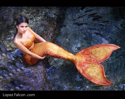 mermaid quince photography video miami photo shoot