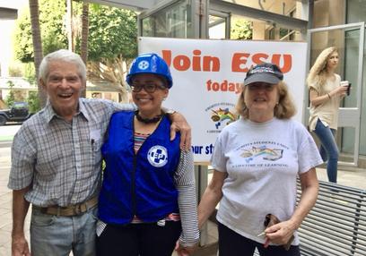 EMERITUS ACTIVITIES 2017