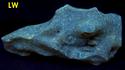 Fluorescent golden AMBER - Dominican Republic, ex Sue MacInnis - for sale
