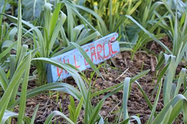 we have a big biodynamic organic permaculture garden