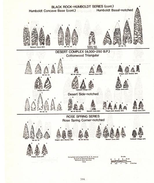 Point Chronology