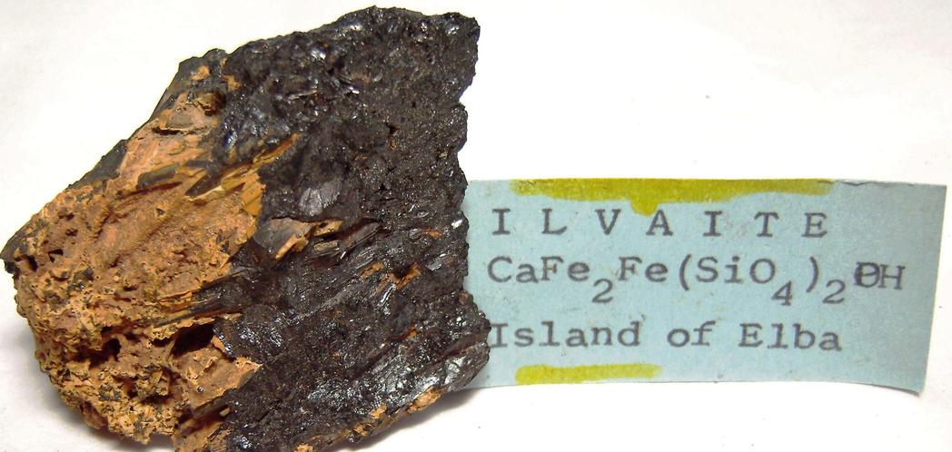 ILVAITE crystals - classic locality - Elba Island, Livorno Province, Tuscany (Toscana), Italy