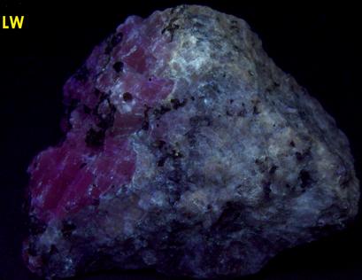 fluorescent BARYTE, CALCITE, ANDRADITE - Franklin Mine, Franklin, Franklin Mining District, Sussex County, New Jersey, USA - ex Borden, ex Morris Museum