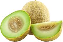 Honeydew melon