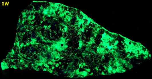 phosphorescent fluorescent WILLEMITE, ZINCITE, FRANKLINITE, CALCITE,Sterling Mine, Sterling Hill, Ogdensburg, Franklin Mining District, Sussex County, New Jersey, USA