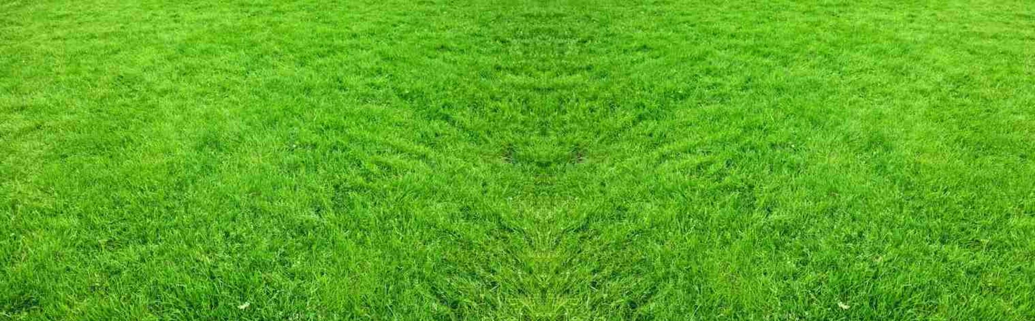 RC GPS Tracked Robotic Lawn Mower
