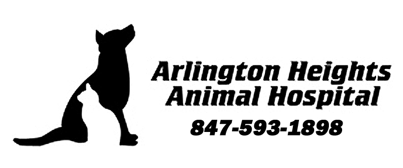 Animal hospital hot sale on clybourn