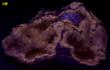 fluorescent CALCITE and CELESTINE, Rt 13 Roadcut, Chittenango Falls, Fenner Township, Madison County, New York, USA