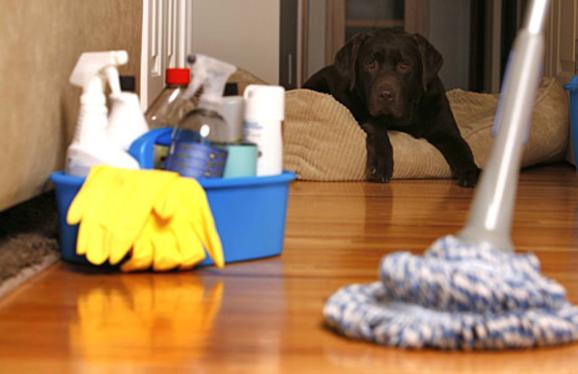 Regular Cleaning Services and Cost Omaha NE | Price Cleaning Services Omaha