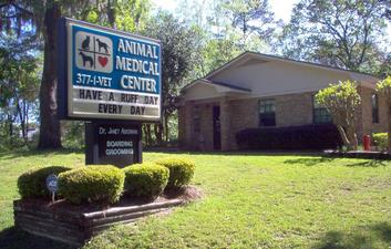 cairo animal hospital cairo georgia