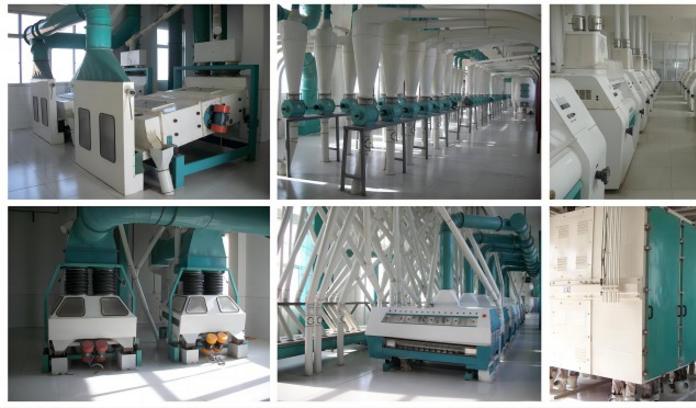 wheat milling plant 500ton