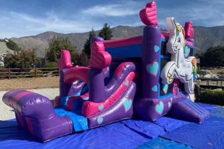 Dnn Party Rentals Water Slides For Rent Jumpers Bounce Houses