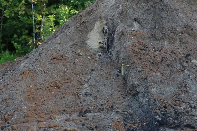 Top Soil