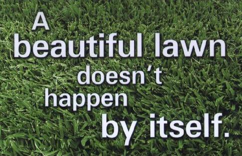 LAWN CARE SERVICES